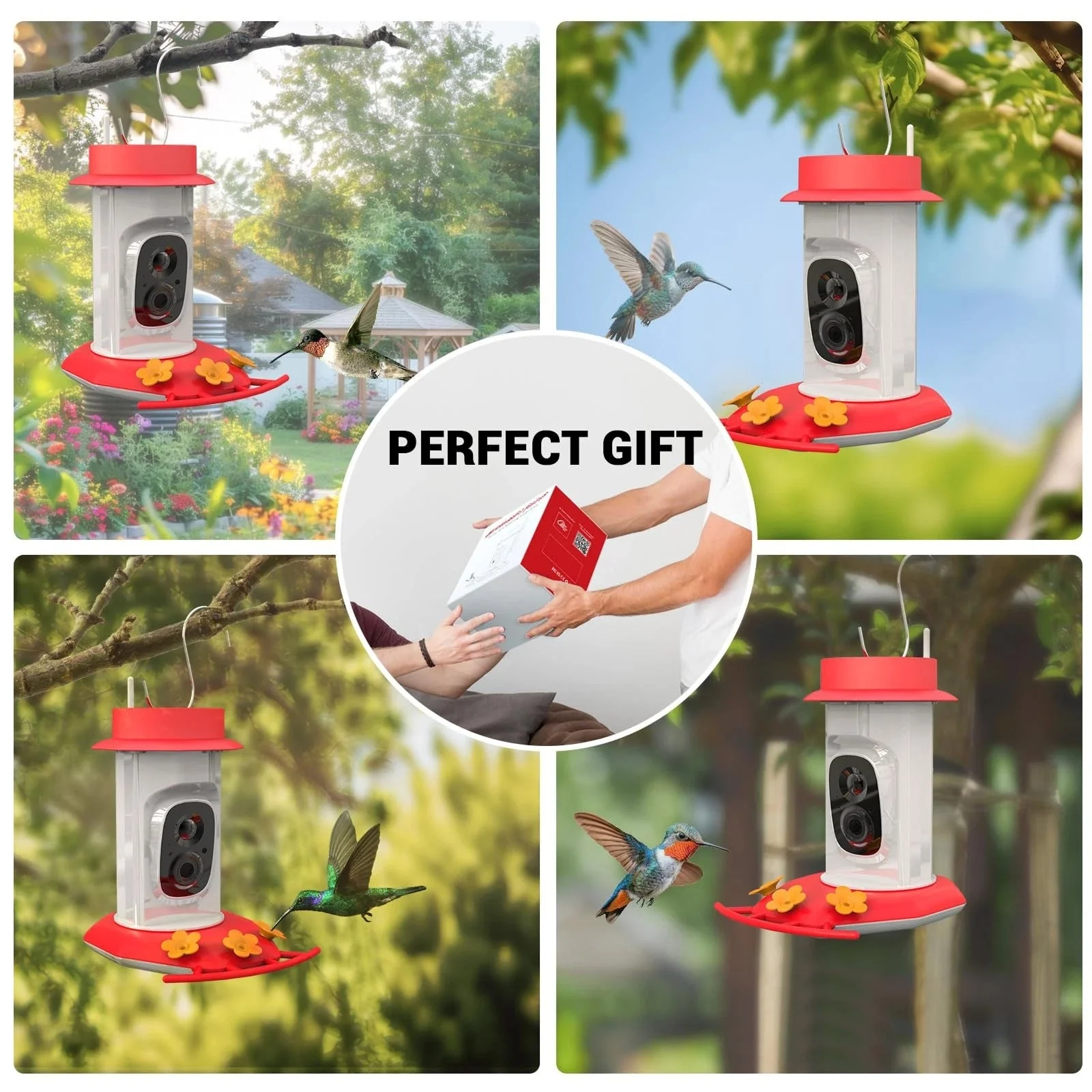 BirdalEat - Image 4