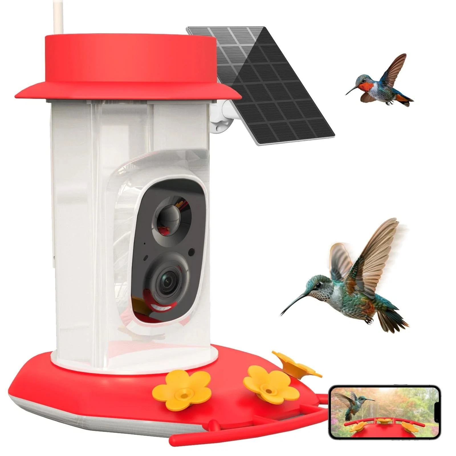 BirdalEat - Image 6