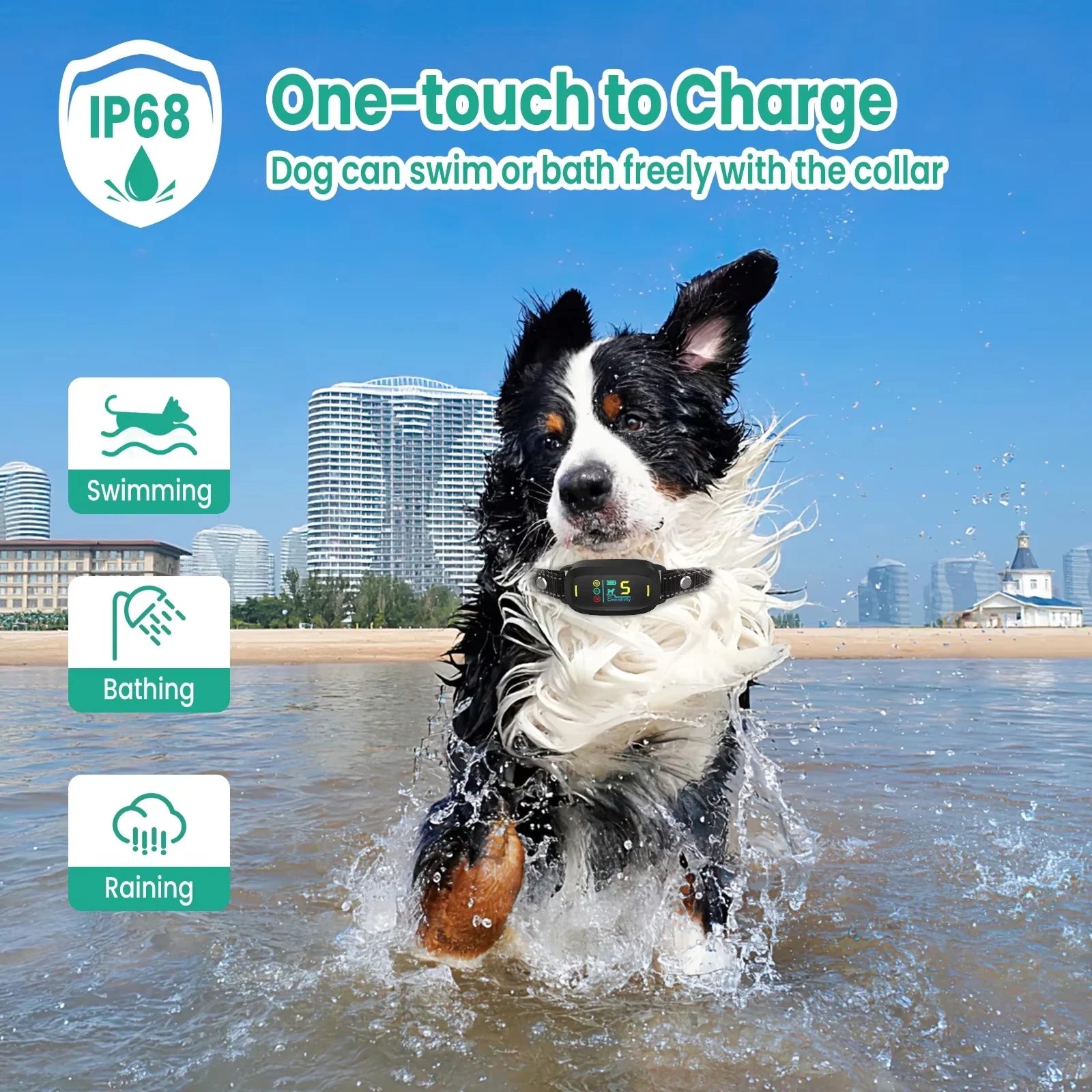 DogConny - Image 10