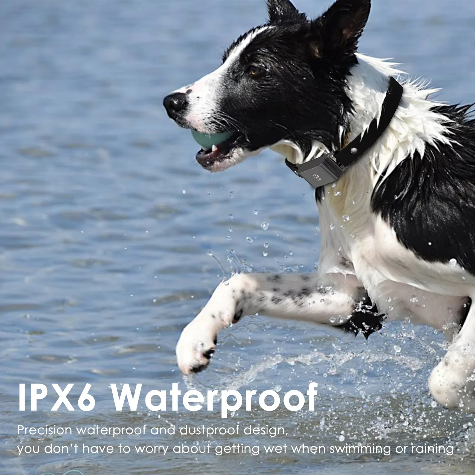 FidoPeri - Image 4