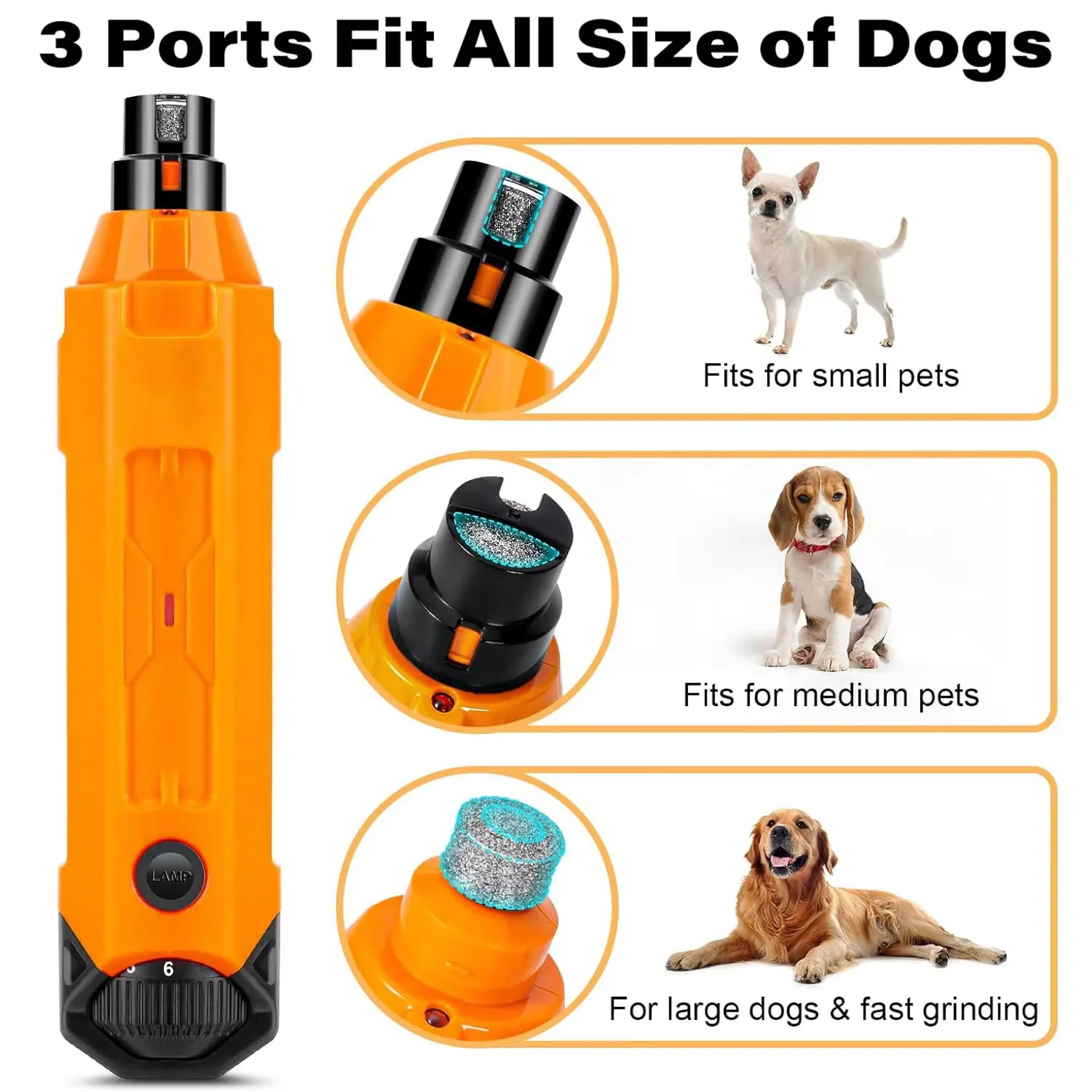 GrinPaw - Image 6