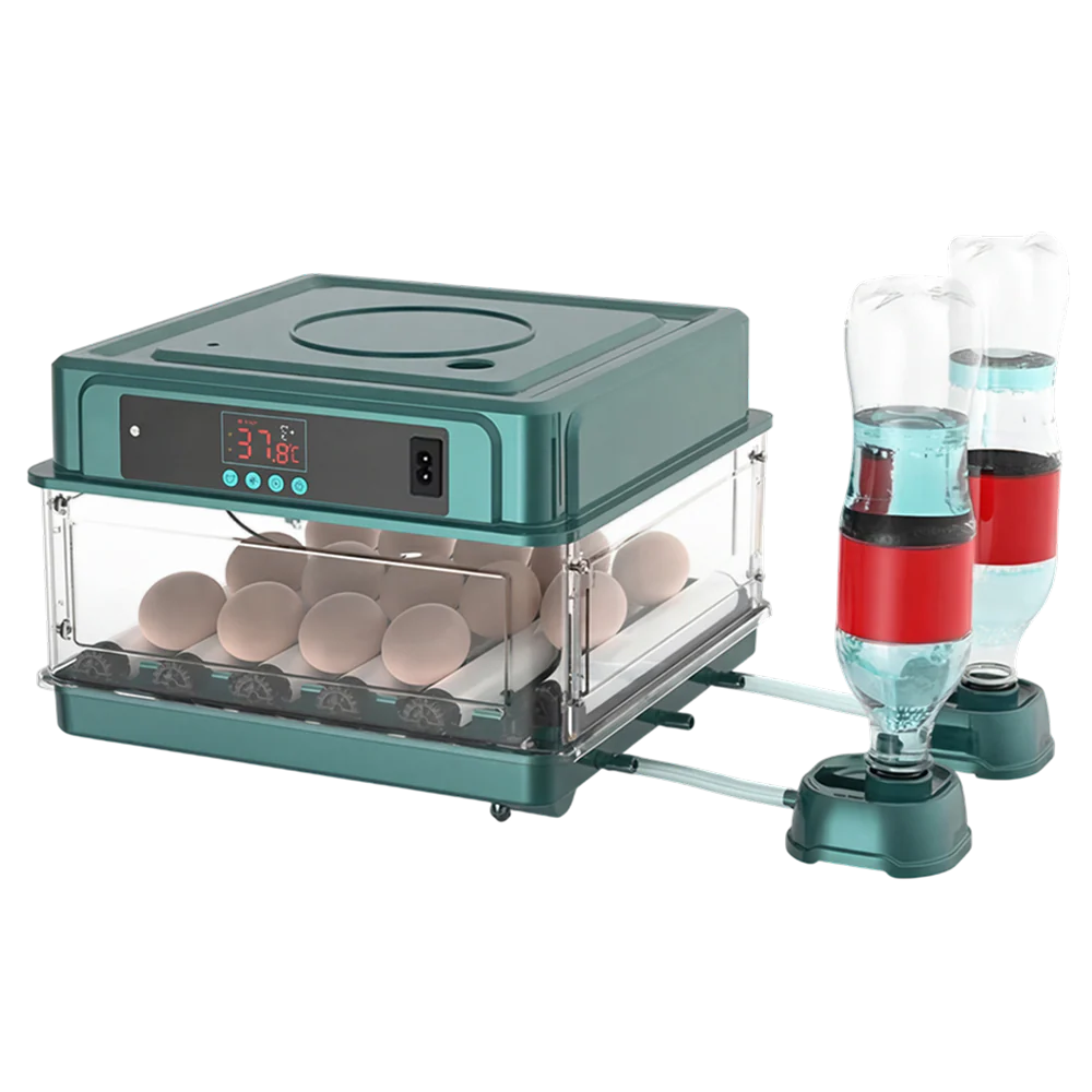 HatchiEggo - Image 10