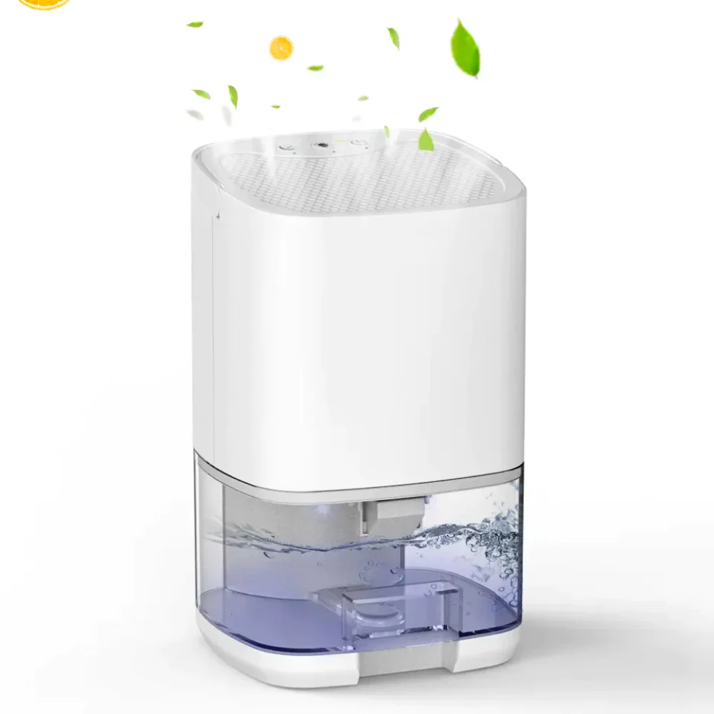 HydroFrest - Image 3