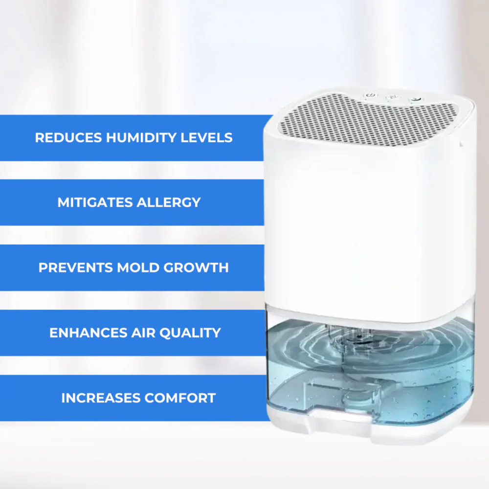 HydroFrest - Image 8