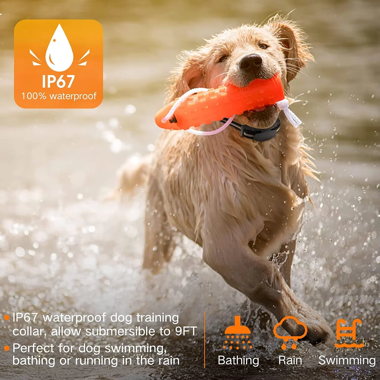 ObeTrainy Dog Training Collar - Image 9