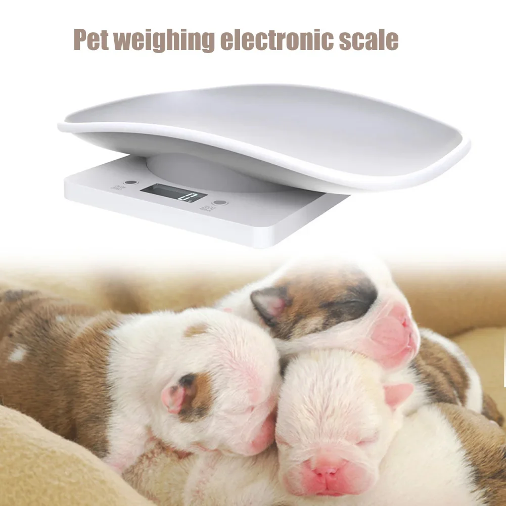 PawScali - Image 2