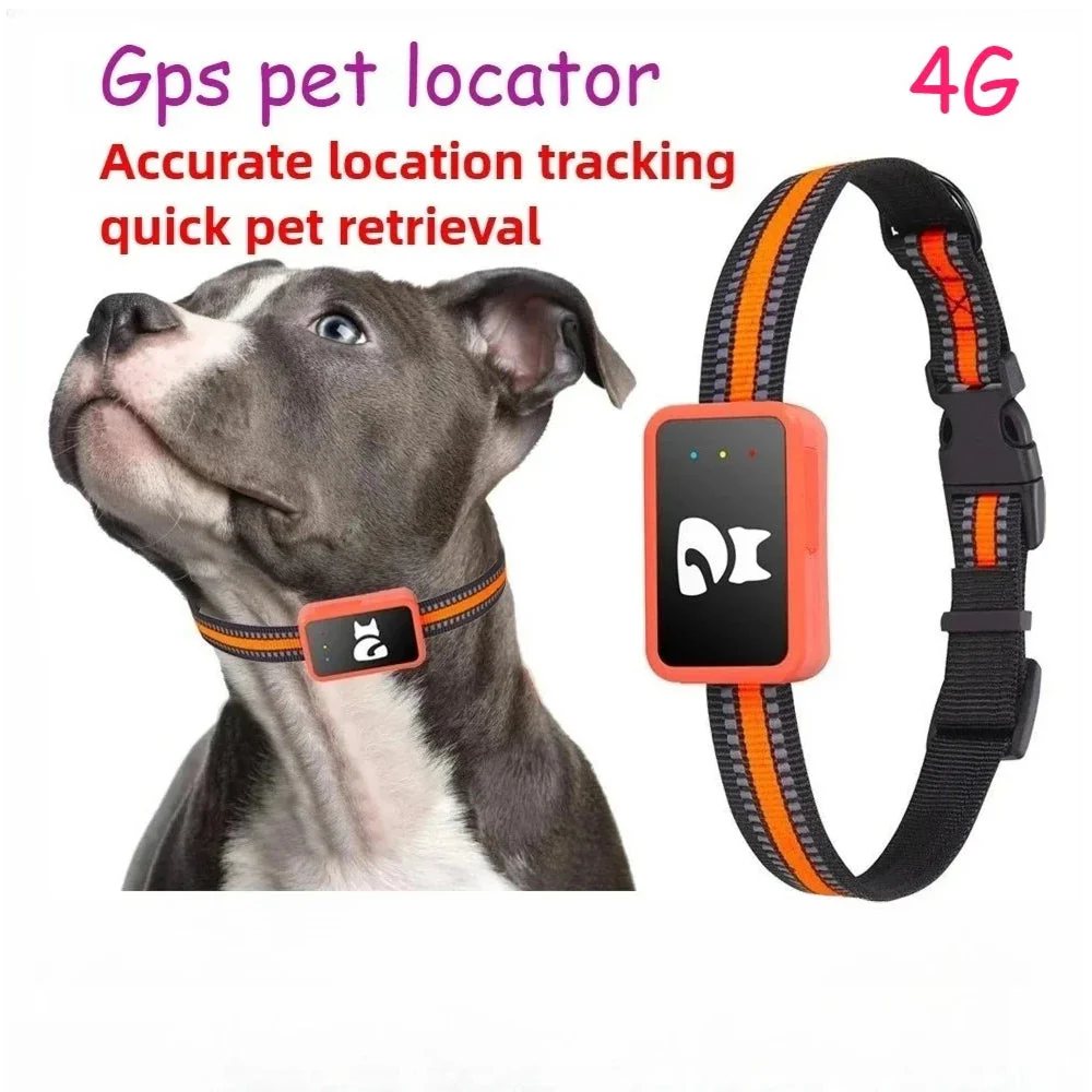 PawTrakio - Image 6