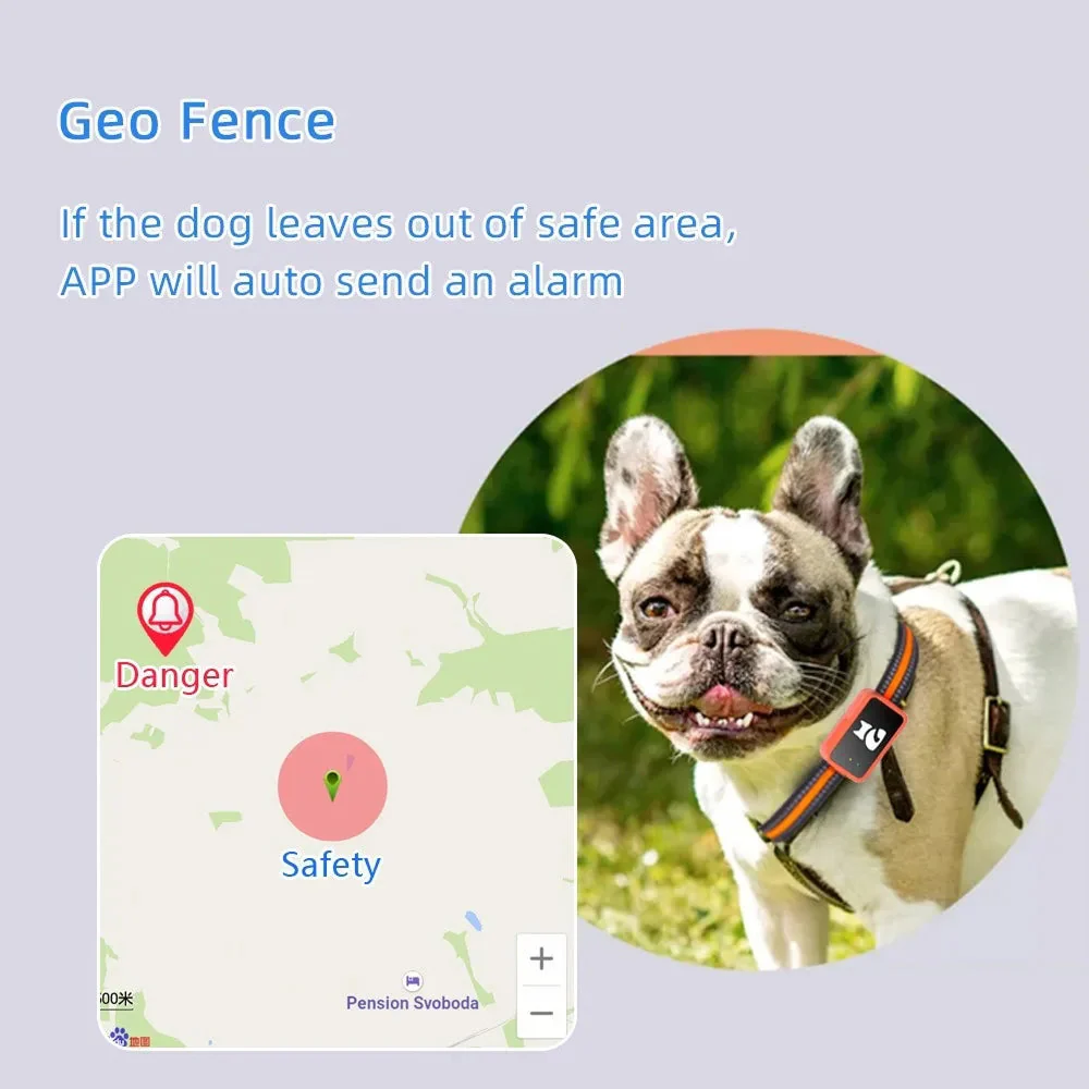 PawTrakio - Image 8
