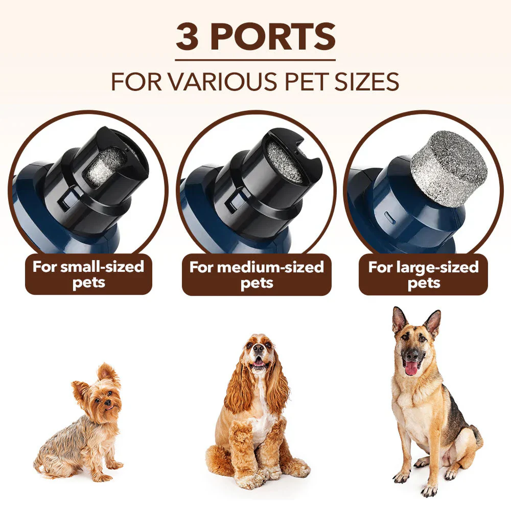 PuppiClaw 2.0 - Image 11