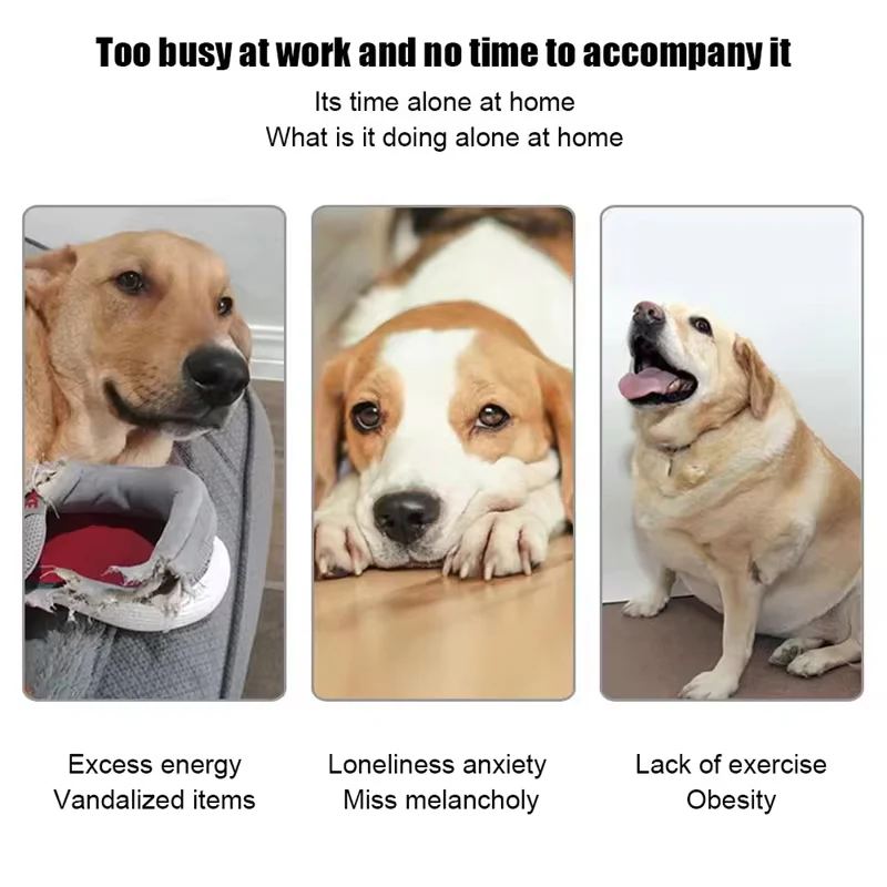 PuppiLob - Image 6
