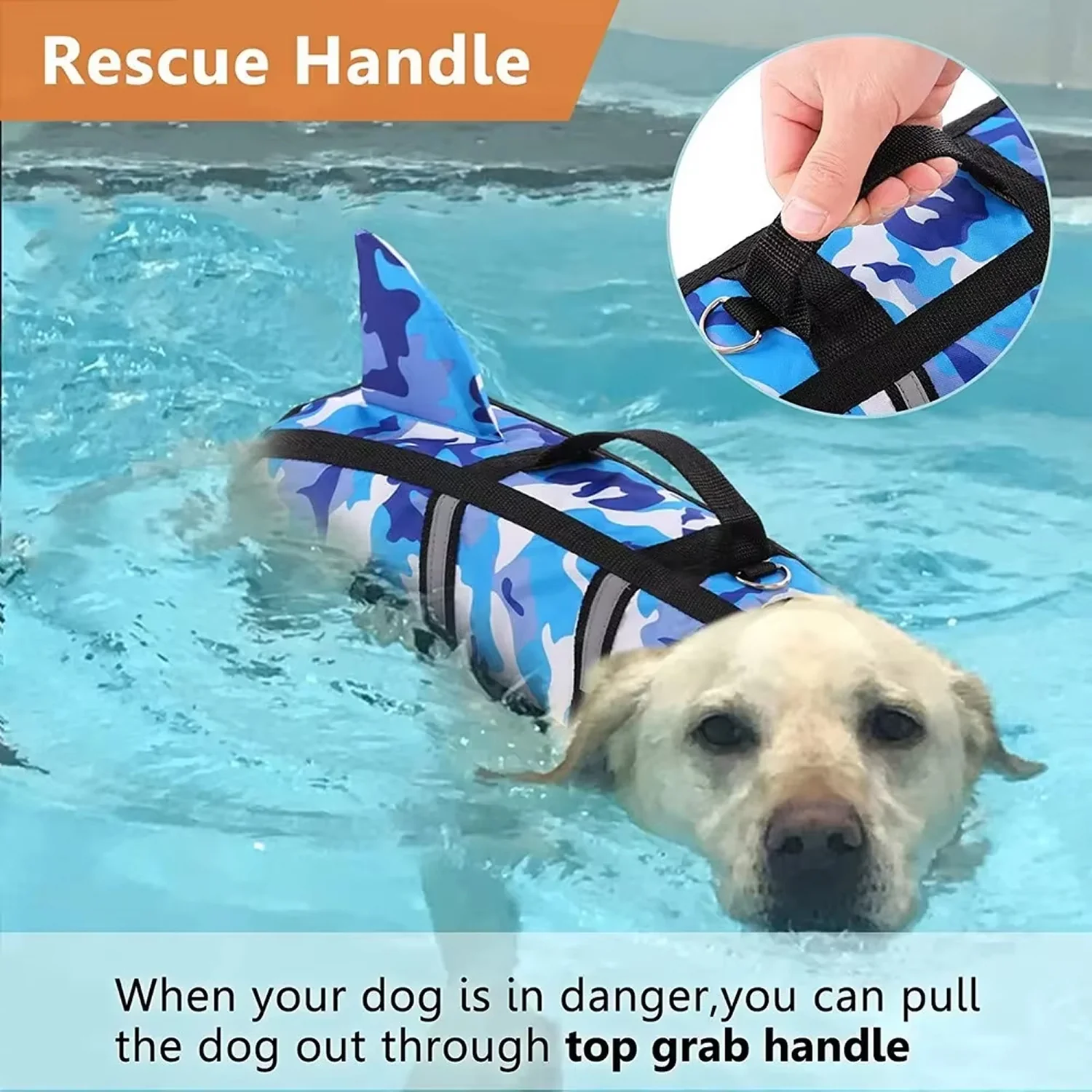 PuppiVes - Image 4