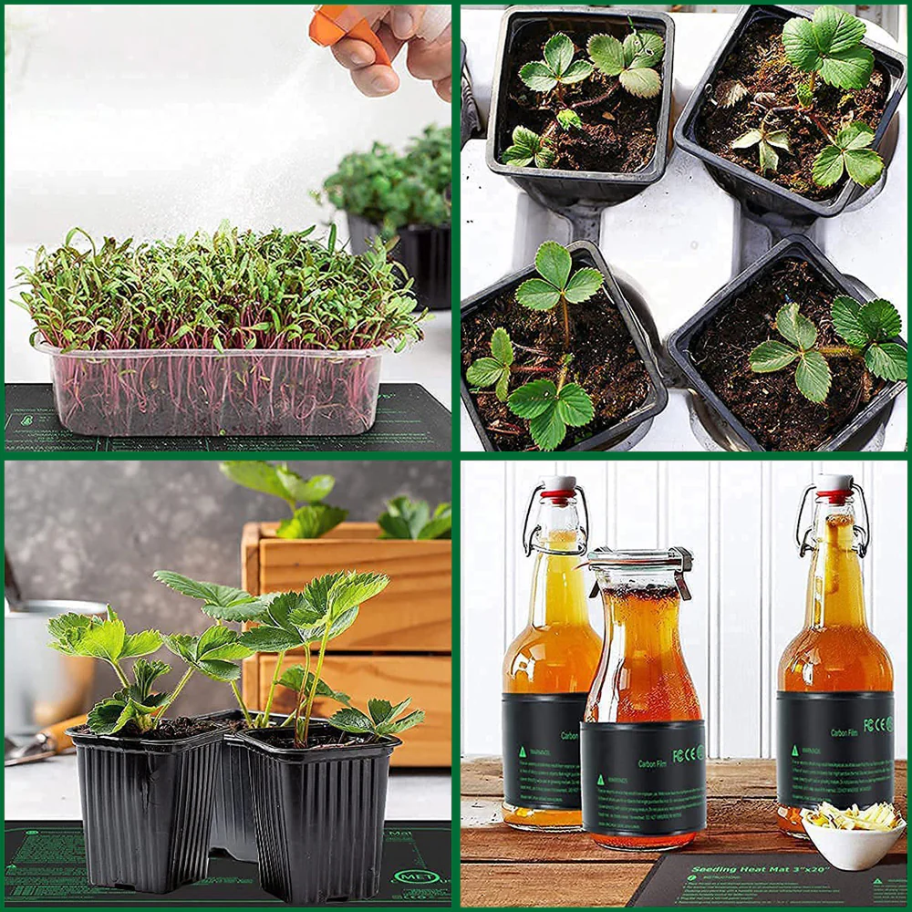 SproutoPal - Image 10