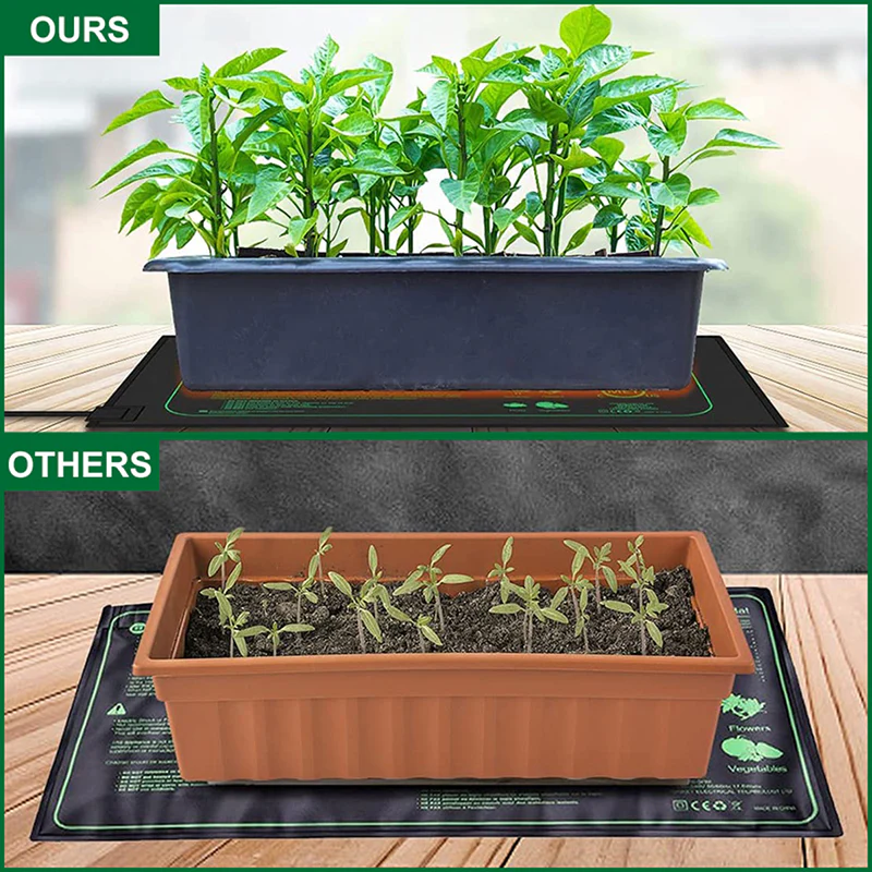 SproutoPal - Image 3