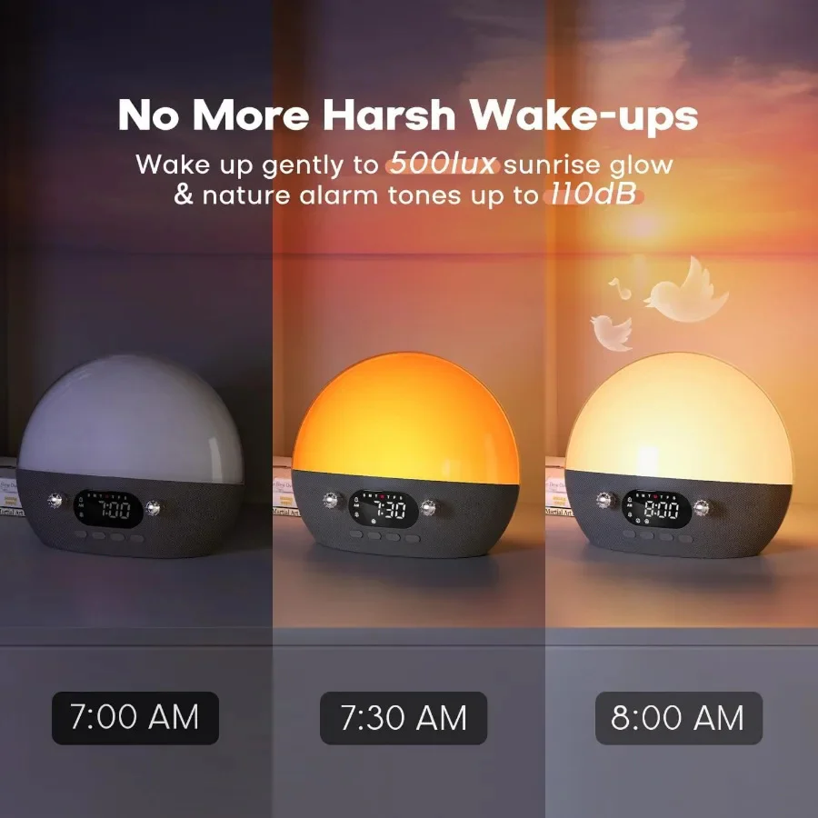 SunRizier - Image 4
