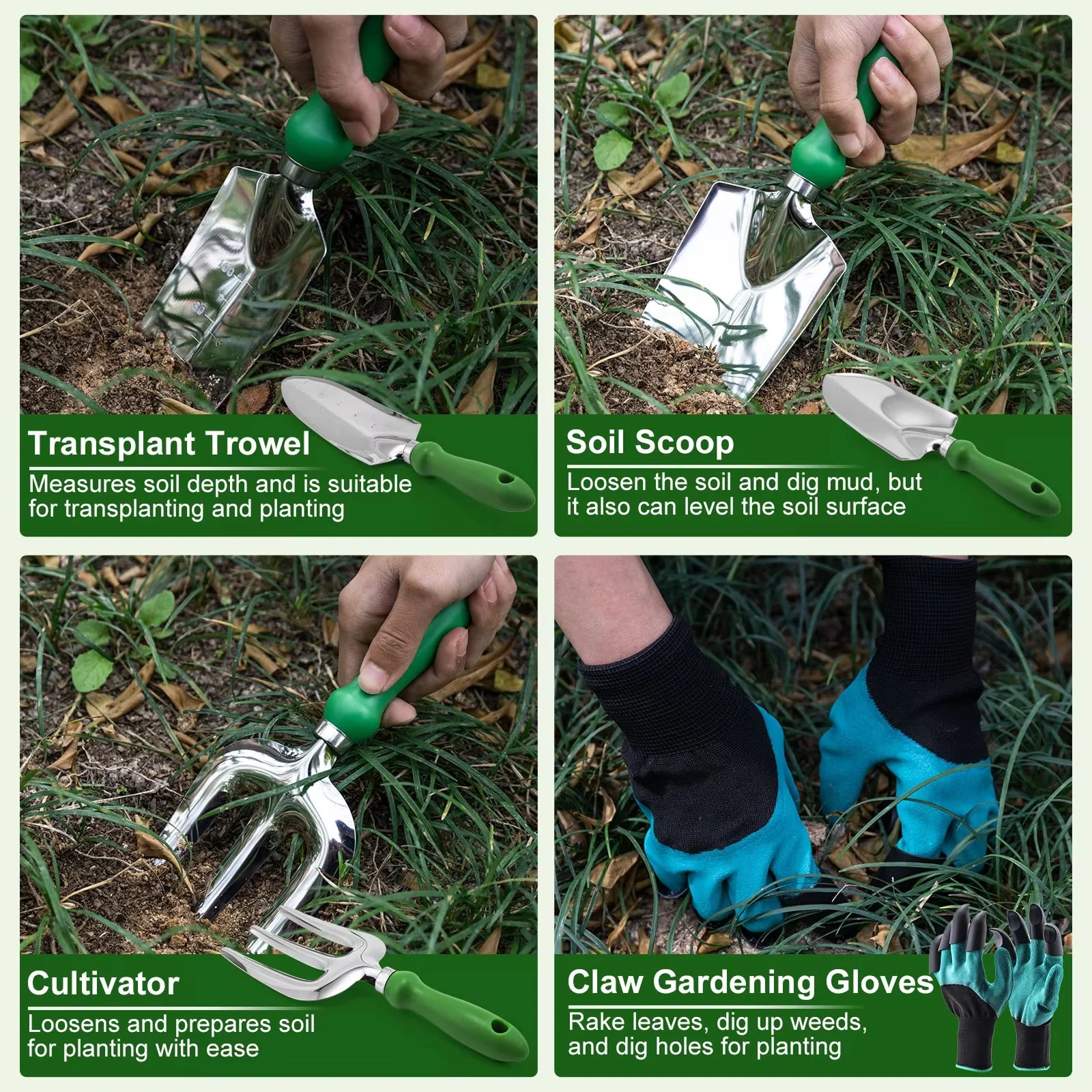 TeraSprot - Image 6