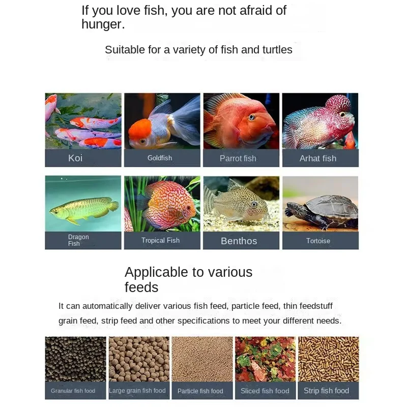 WateryFid - Image 4