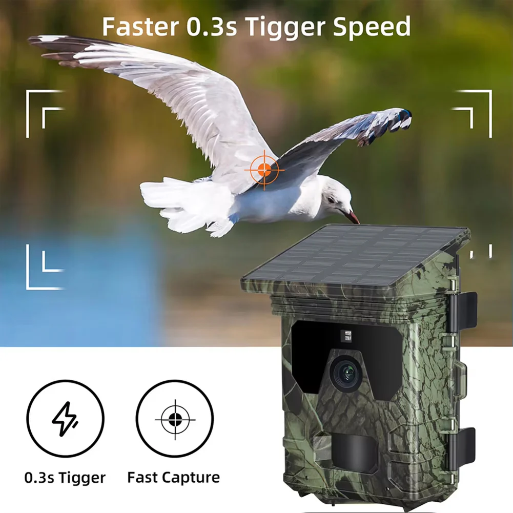 Wildsnap v2 - Image 7