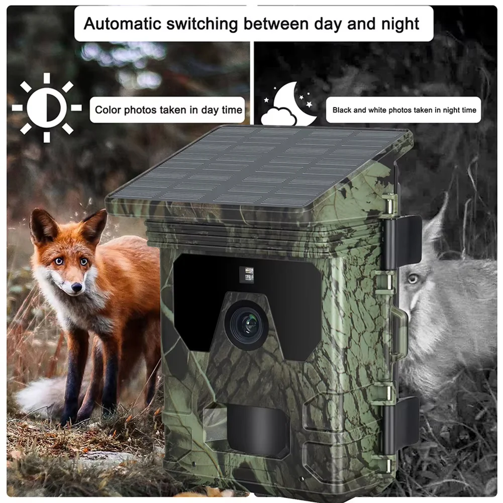 Wildsnap v2 - Image 9