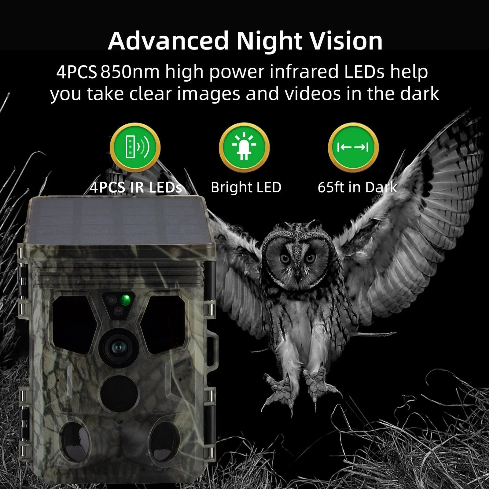 Wildsnap v3 - Image 2