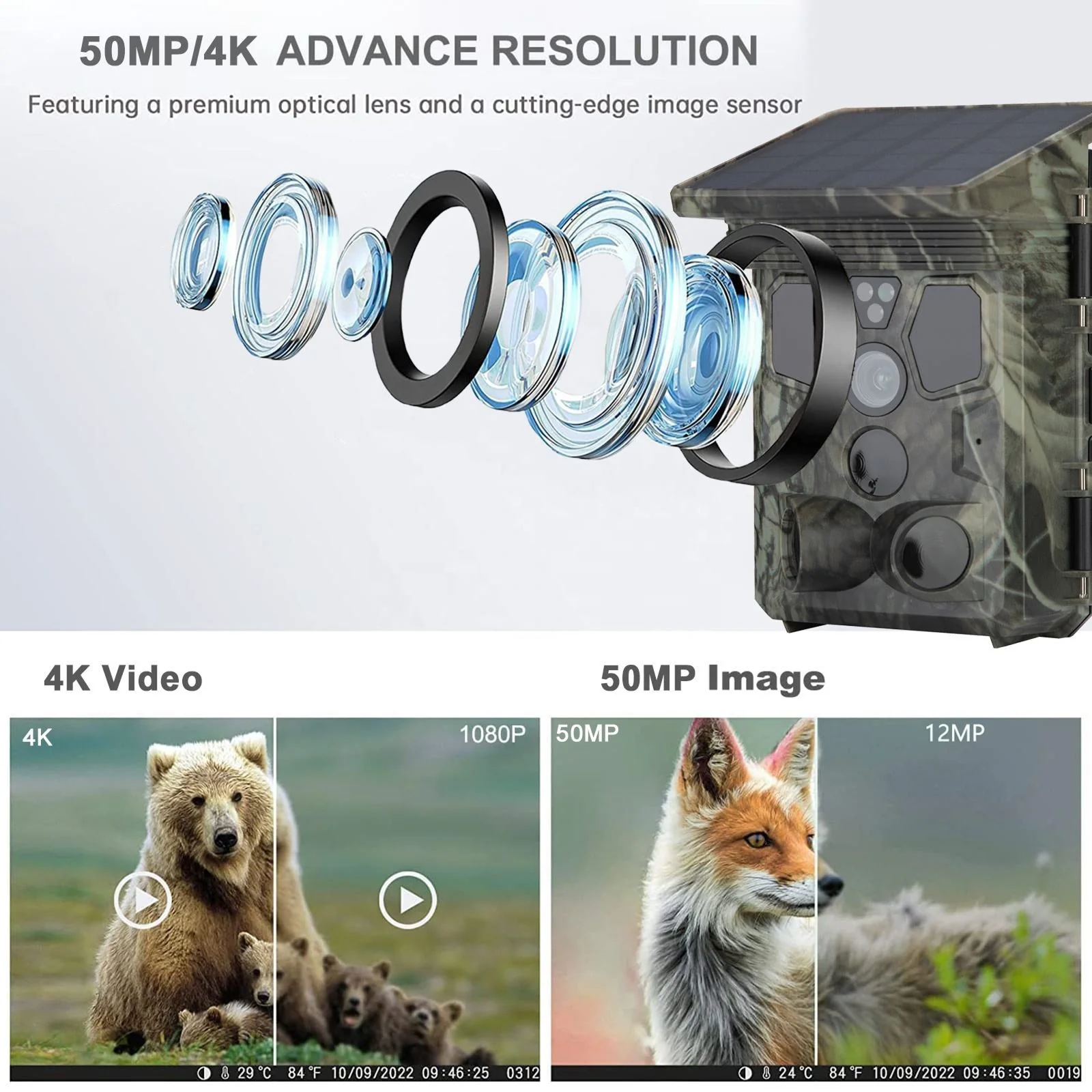 Wildsnap v3 - Image 4