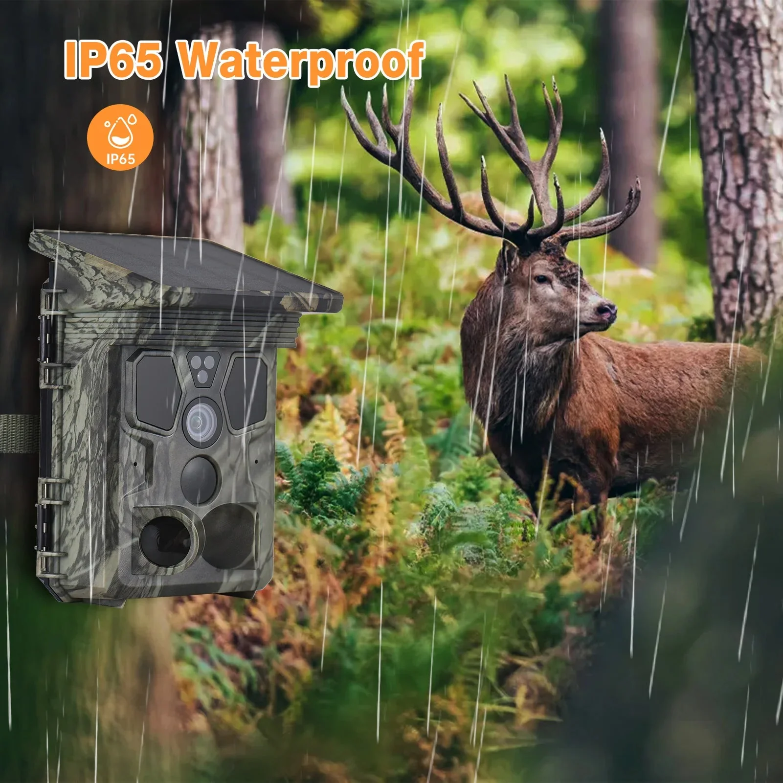 Wildsnap v3 - Image 5