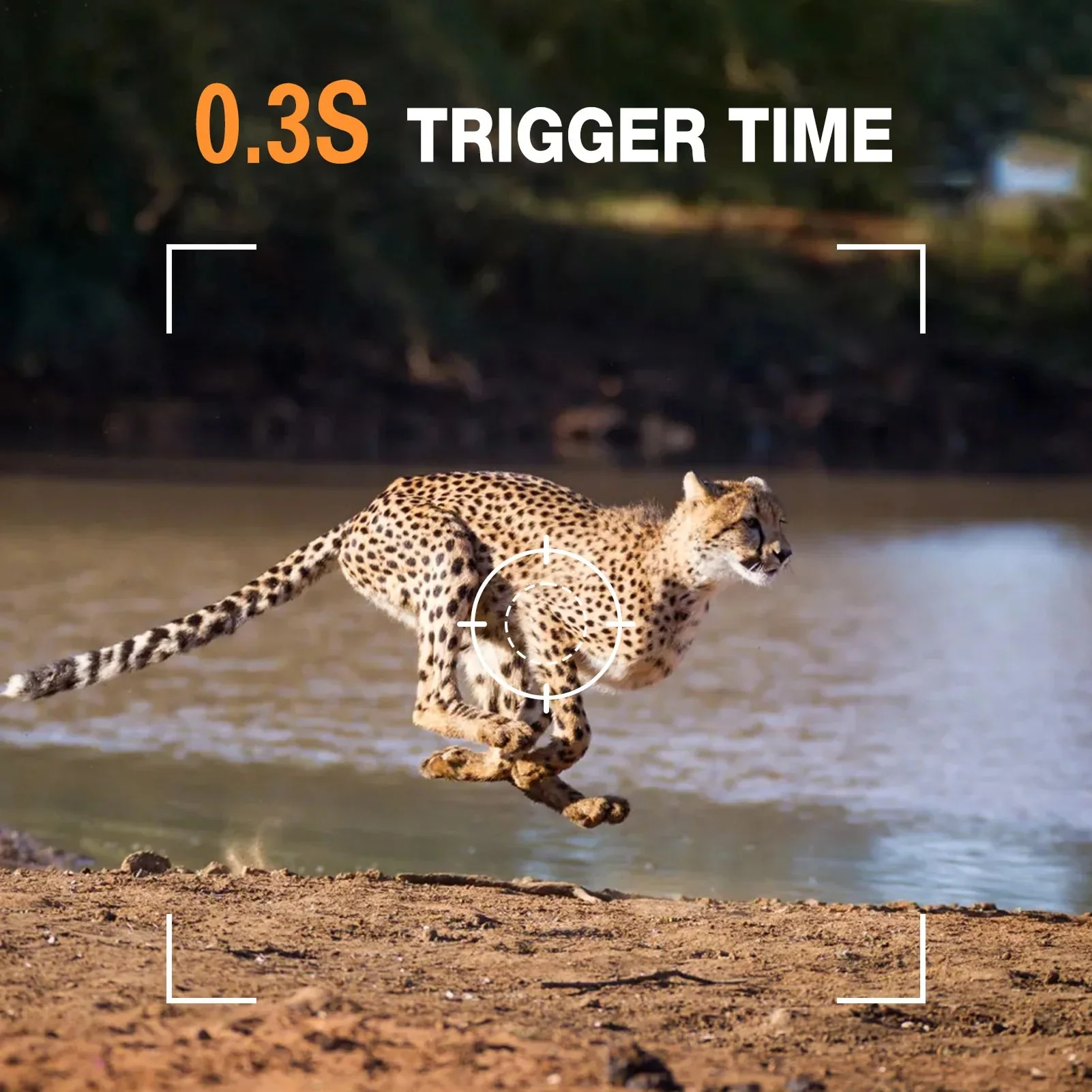 Wildsnap v3 - Image 6
