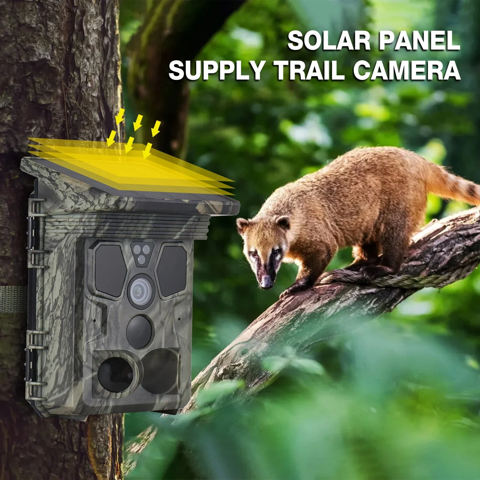Wildsnap v3 - Image 7