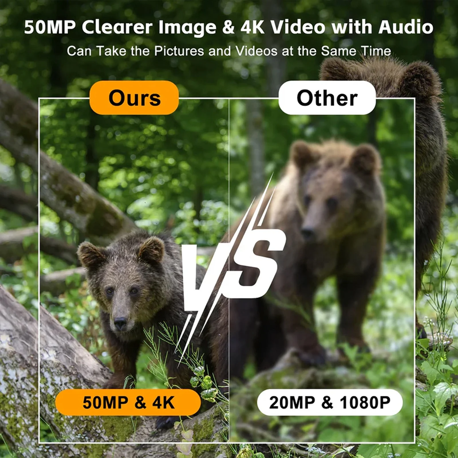 Wildsnap v3 - Image 8